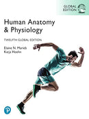 Human Anatomy & Physiology