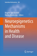 Neuroepigenetics Mechanisms in Health and Disease (Subcellular Biochemistry Book 108)