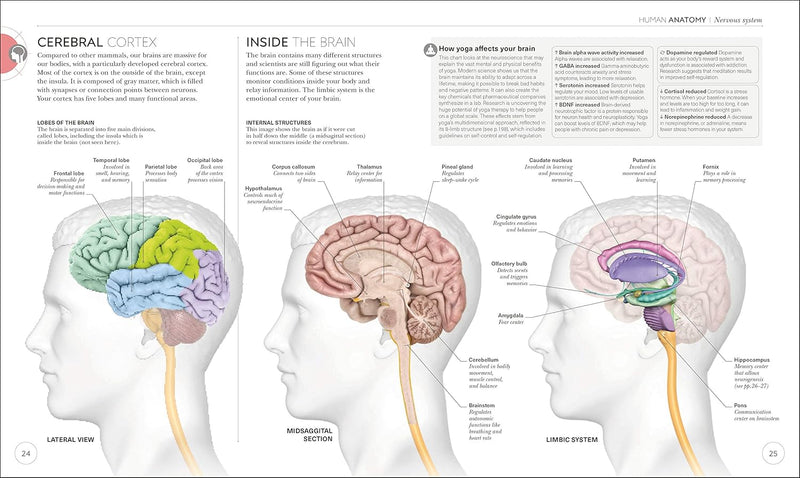 Science of Yoga: Understand the Anatomy and Physiology to Perfect Your Practice (DK Science of