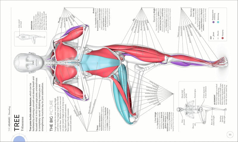 Science of Yoga: Understand the Anatomy and Physiology to Perfect Your Practice (DK Science of