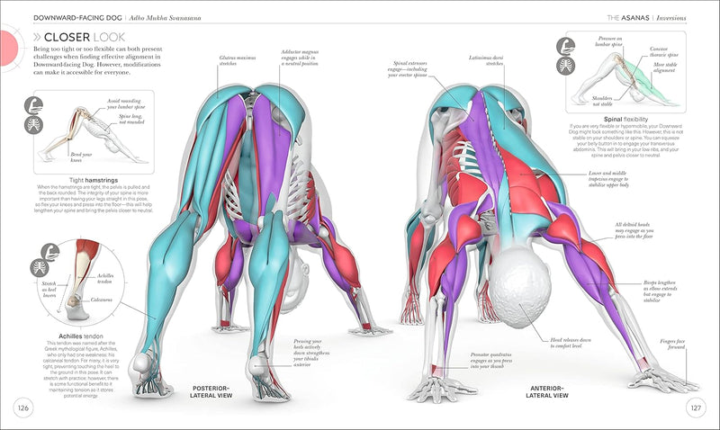 Science of Yoga: Understand the Anatomy and Physiology to Perfect Your Practice (DK Science of