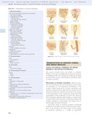 Guyton and Hall Textbook of Medical Physiology (Guyton Physiology) 13th Edition