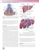 Pharmacology and Physiology for Anesthesia: Foundations and Clinical Application 1st Edition