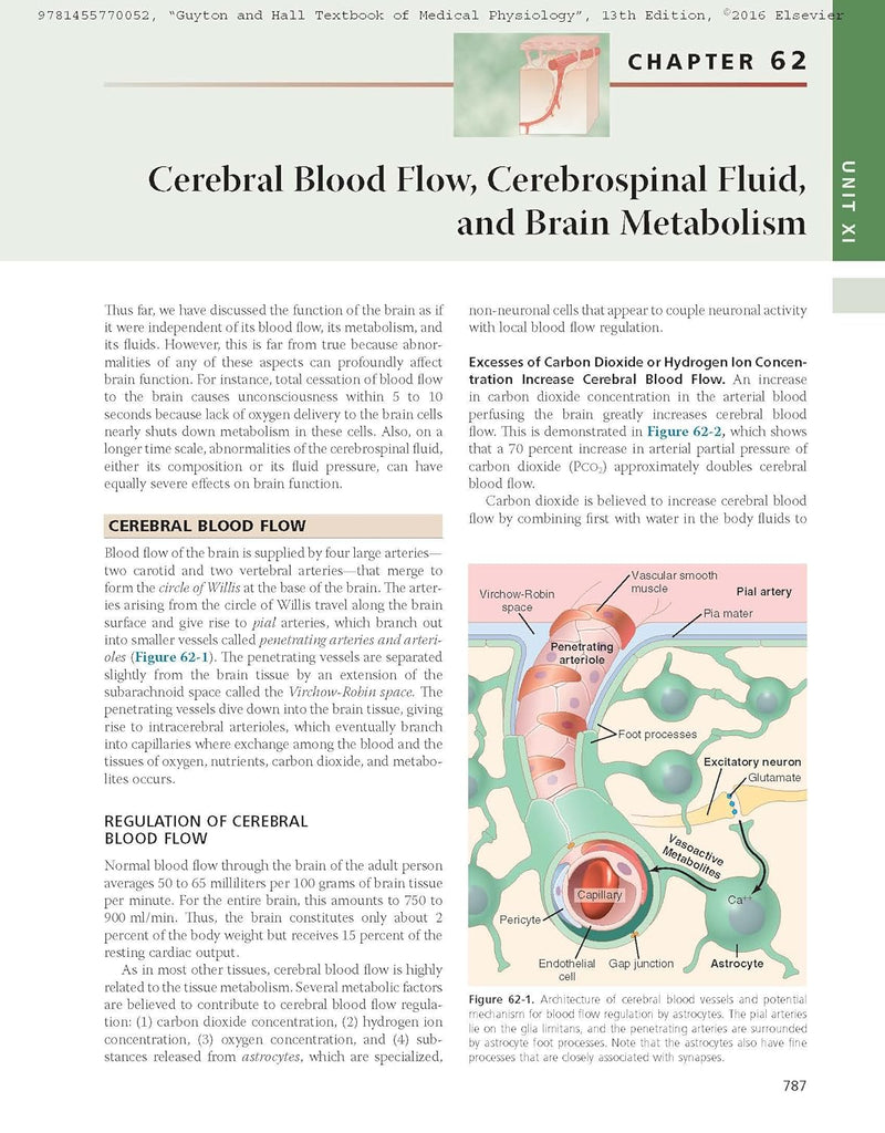 Guyton and Hall Textbook of Medical Physiology (Guyton Physiology) 13th Edition