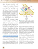 Pharmacology and Physiology for Anesthesia: Foundations and Clinical Application 1st Edition