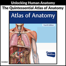 Atlas of Anatomy 4th Edition