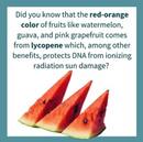 Eat to Beat Disease: The New Science of How Your Body Can Heal Itself