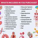 Master Anatomy Without the Overwhelm