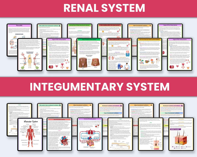 Master Anatomy Without the Overwhelm