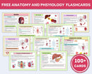 Master Anatomy Without the Overwhelm